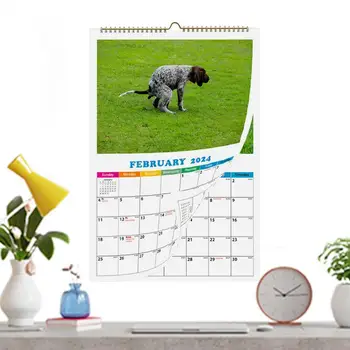 12 Ежемесячный настенный календарь Забавный календарь собак Подарки кляпа Собаки, какающие в красивых местах Календарь на 2024 год Забавный подарок