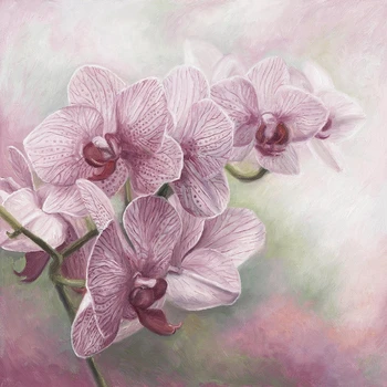 JMINE Div 5D цветок орхидеи Полная алмазная живопись наборы для вышивки крестом искусство Высококачественная цветочная 3D краска бриллиантами