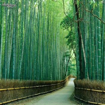 beibehang большая фреска высокого класса атмосферный свежий бамбуковый лес шок 3D ТВ фон супер - зеленые обои papel de parede
