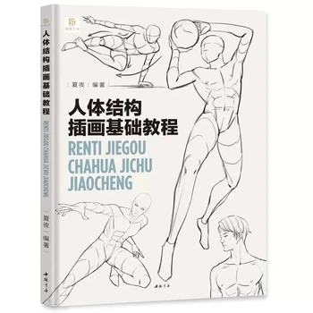 Базовый учебник по иллюстрации структуры человеческого тела Артбук Динамическая структура Техники для создания эскизов человеческого тела