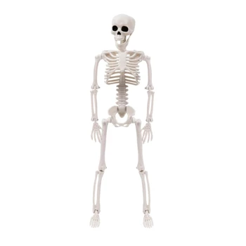 Большой скелет Хэллоуин Декор, Хэллоуин Скелет Украшение Хэллоуина в натуральную величину, Полноразмерный висячий скелет