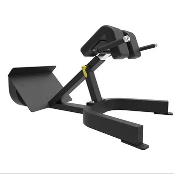 Высококачественное оборудование для фитнеса Римский стул Обратное гиперэкстензия Скамьи для упражнений для нижней части спины Удлинение спины на 45 градусов