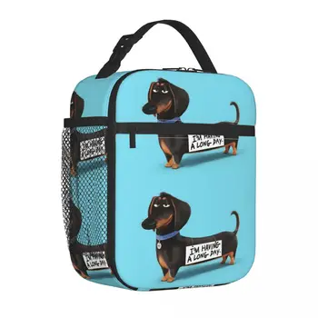Такса Собака Забавный щенок Изолированная сумка для обеда Сумка-холодильник Контейнер для обеда Большая емкость Тоут Ланч-бокс Сумка для еды Колледж На открытом воздухе