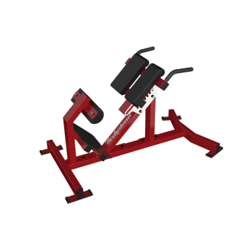 коммерческое спортивное оборудование Римский стул Обратное гиперэкстензия Скамья для упражнений для нижней части спины Удлинение спины на 45 градусов